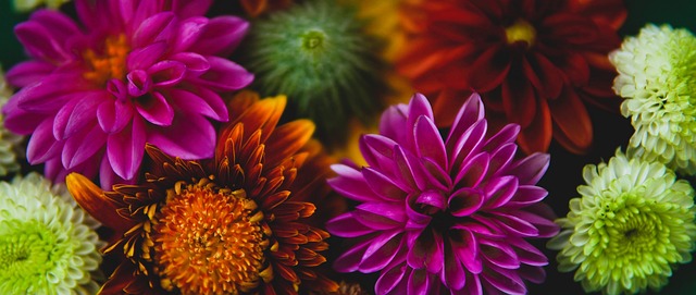 的节