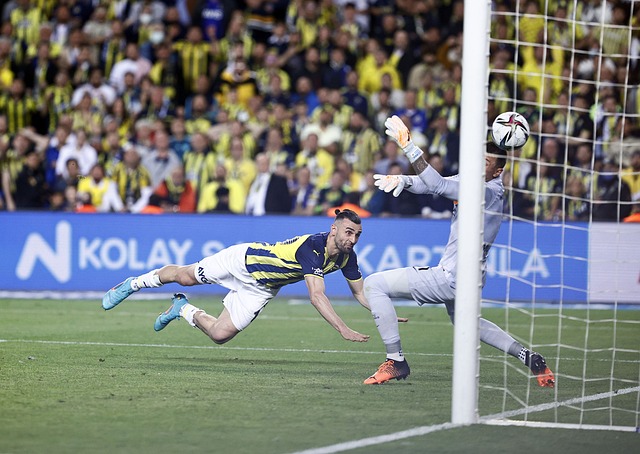 而不是单纯 而不是单纯