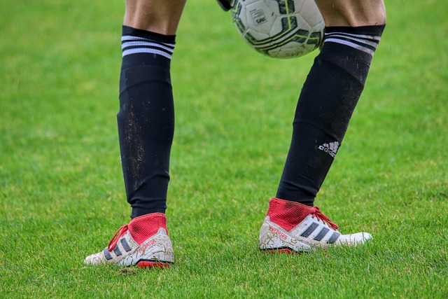 占据主动 占据主动