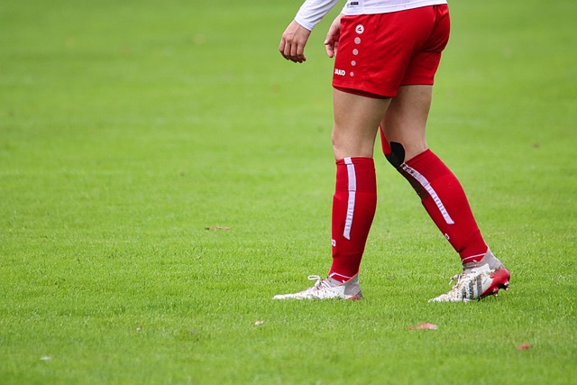 意味着他们 意味着他们