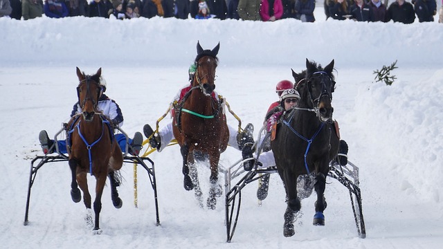 经历剧烈波 经历剧烈波