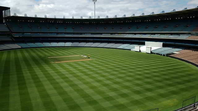 伍的进步 伍的进步