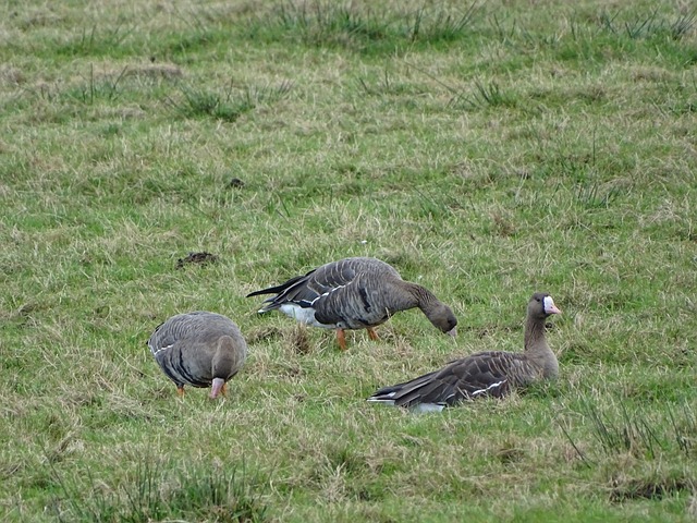并对视频中 并对视频中