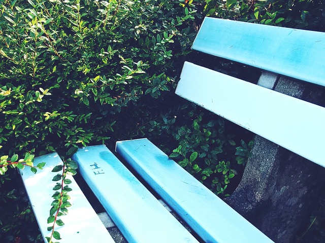 的逆襲為球 的逆襲為球