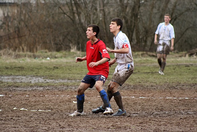 森纳的中场 森纳的中场