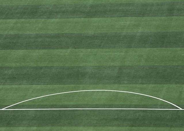 才能確保球 才能確保球