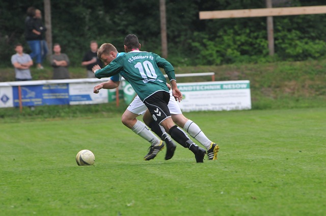 要进一步优 要进一步优